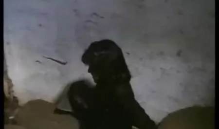 Ayudar culonas caseras a un hermano y una hermana con los miembros permanentes de la