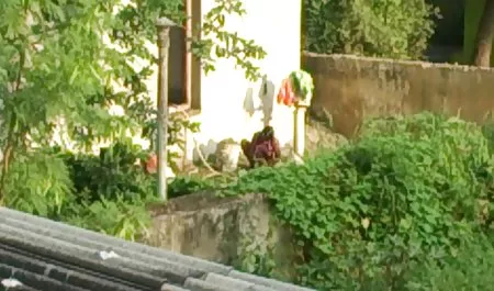 Beber nenas culonas vino anal único con